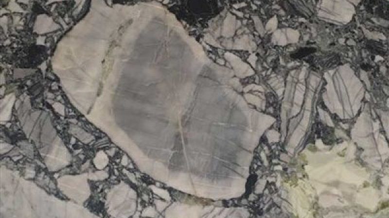 蘑菇石加盟：揭秘其风险与优势，助你明智决策